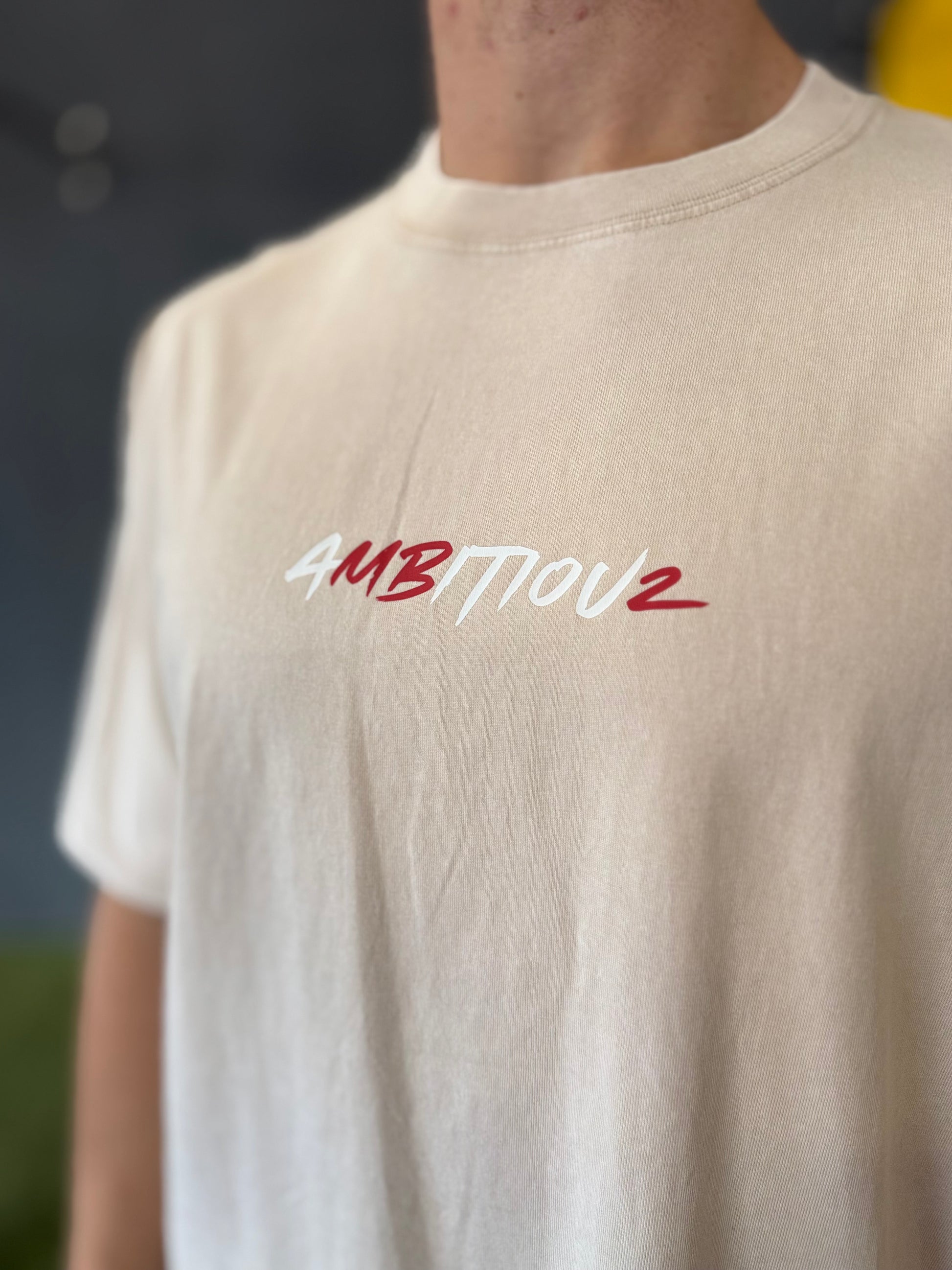 Camiseta lavada Believe